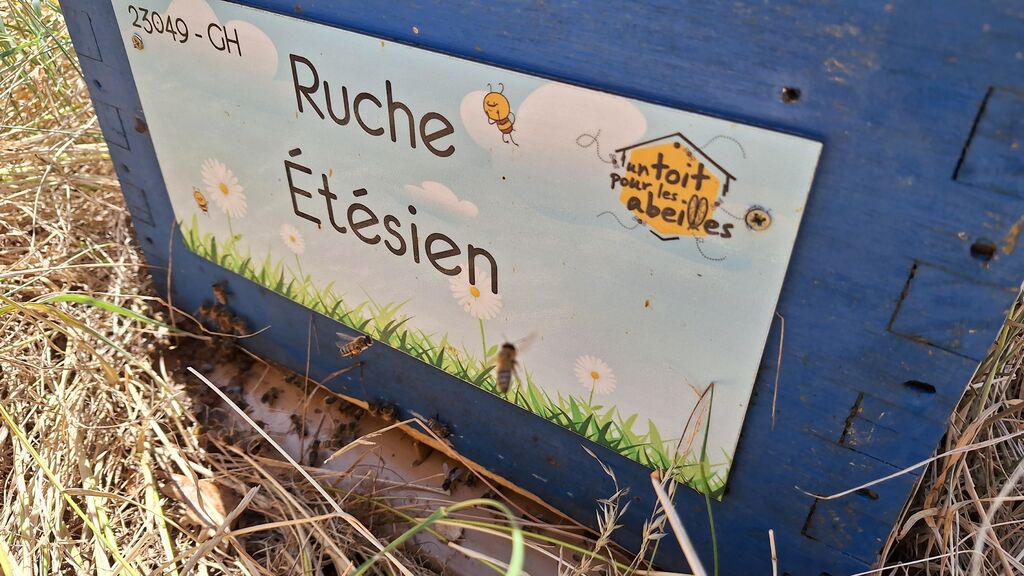 La ruche Étésien