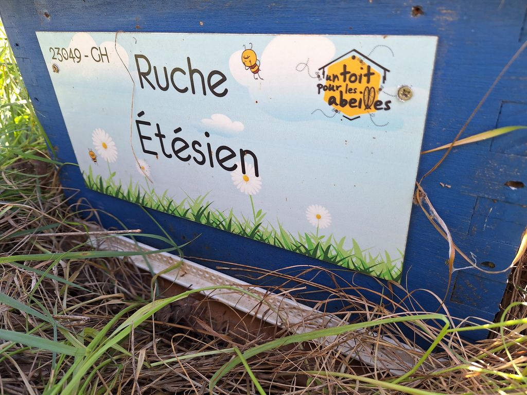 La ruche Étésien