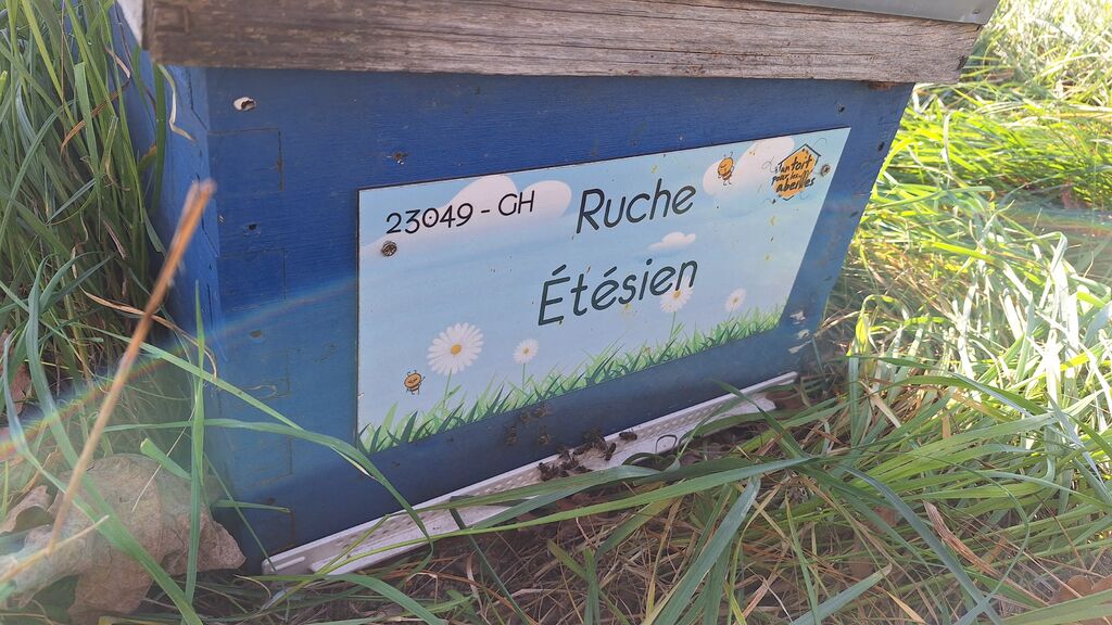 La ruche Étésien