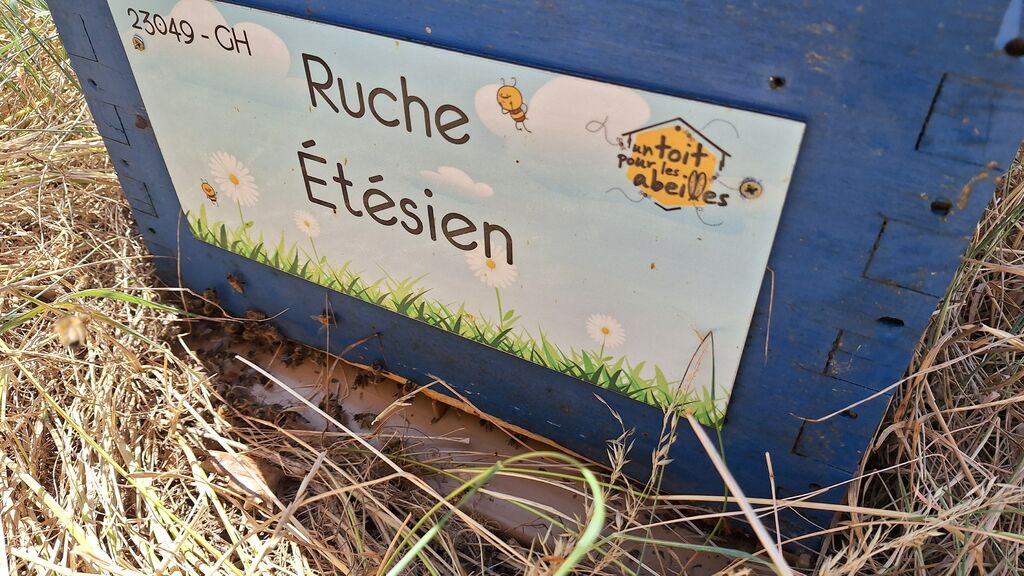 La ruche Étésien