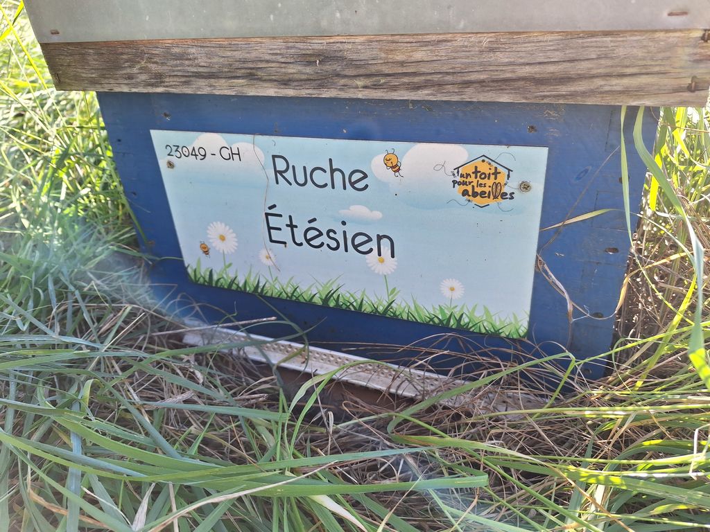 La ruche Étésien