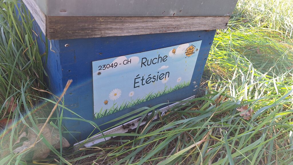 La ruche Étésien