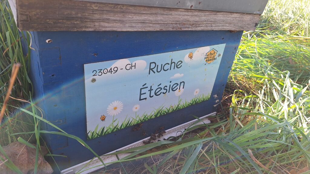 La ruche Étésien