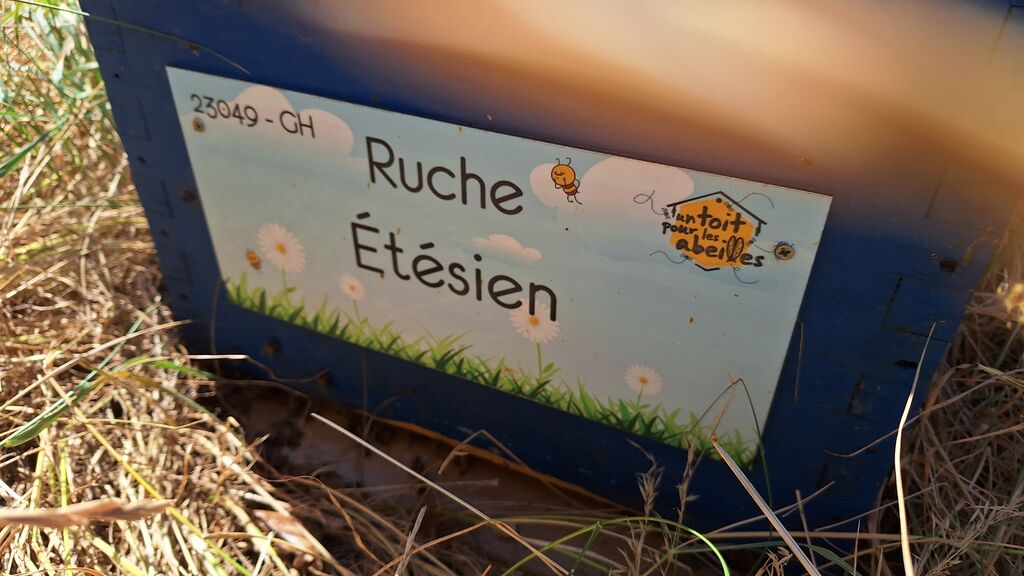 La ruche Étésien