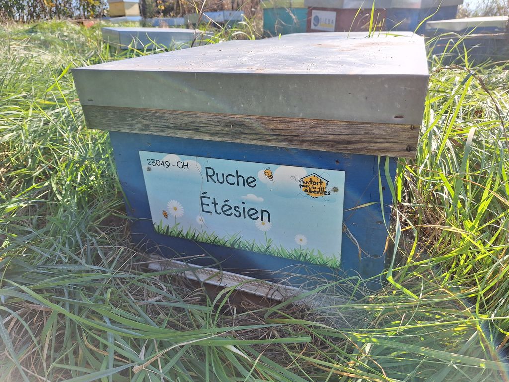 La ruche Étésien