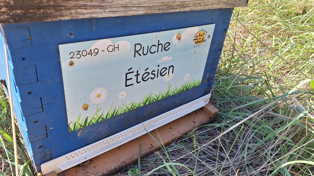 La ruche Étésien