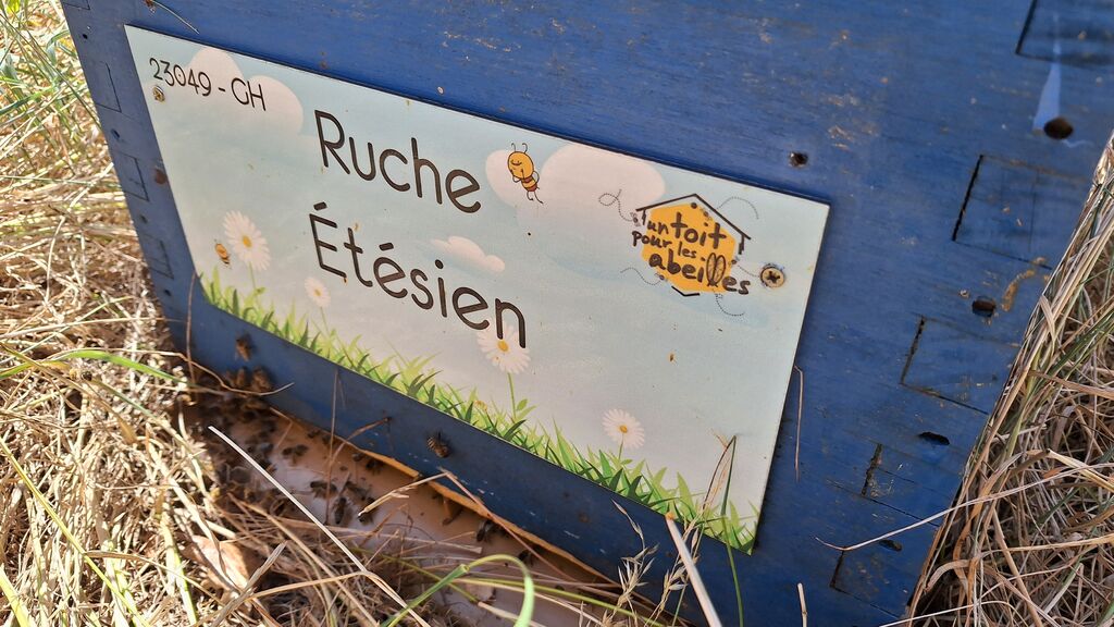 La ruche Étésien