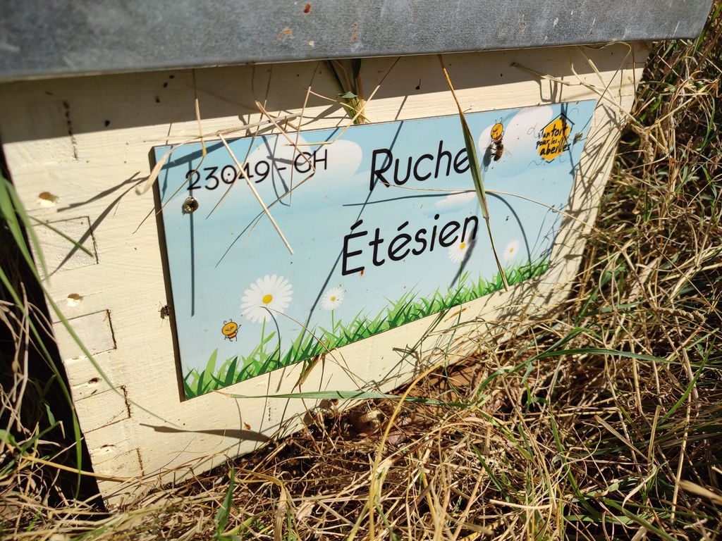 La ruche Étésien