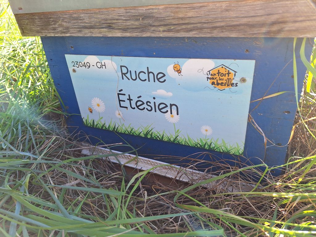 La ruche Étésien