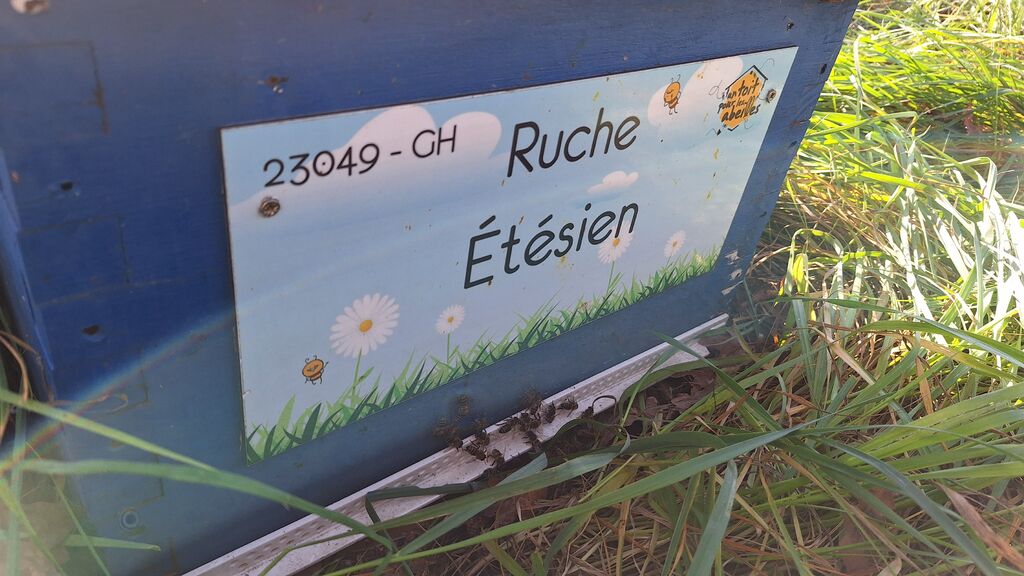 La ruche Étésien