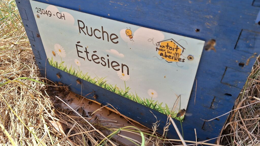 La ruche Étésien