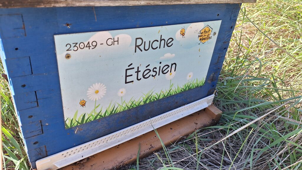 La ruche Étésien