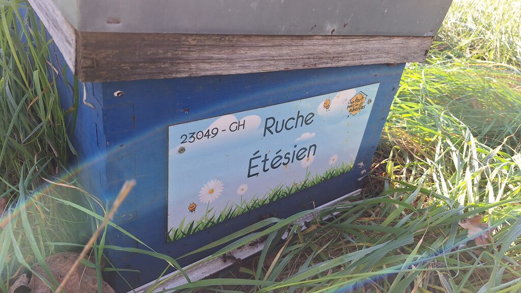 La ruche Étésien