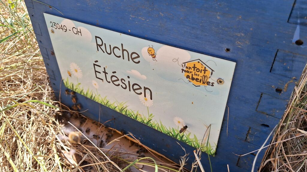 La ruche Étésien