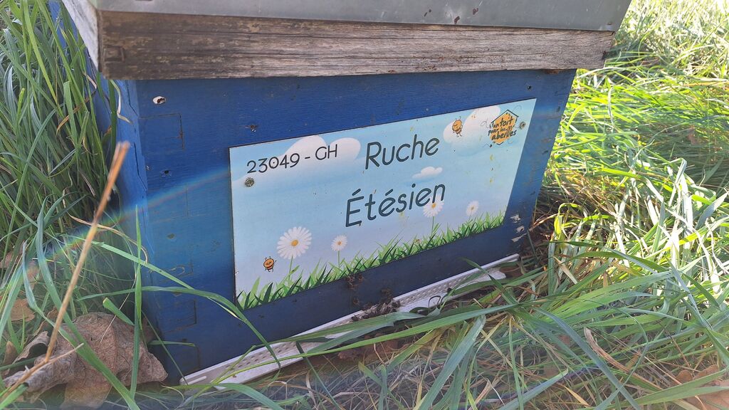 La ruche Étésien