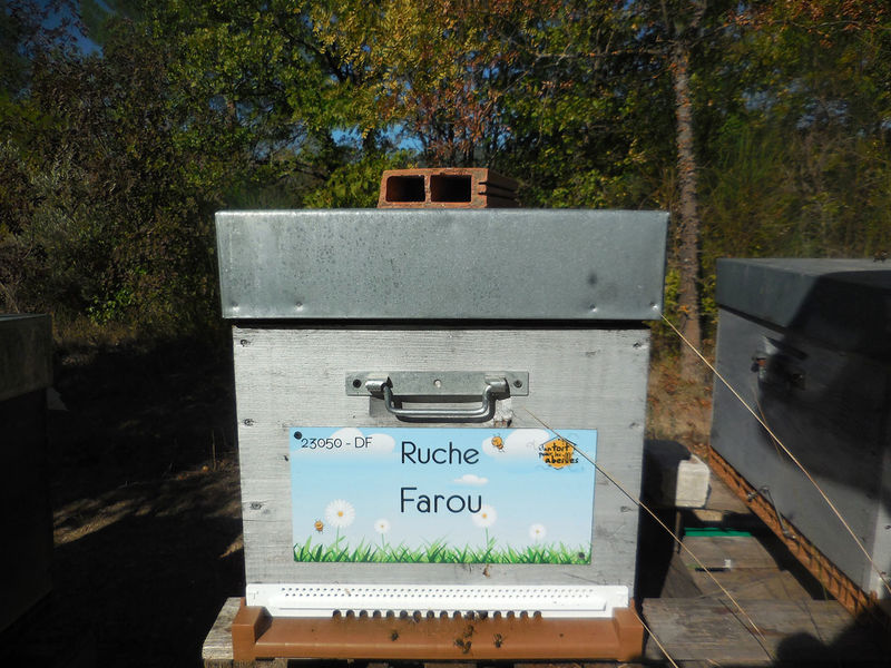 La ruche Farou