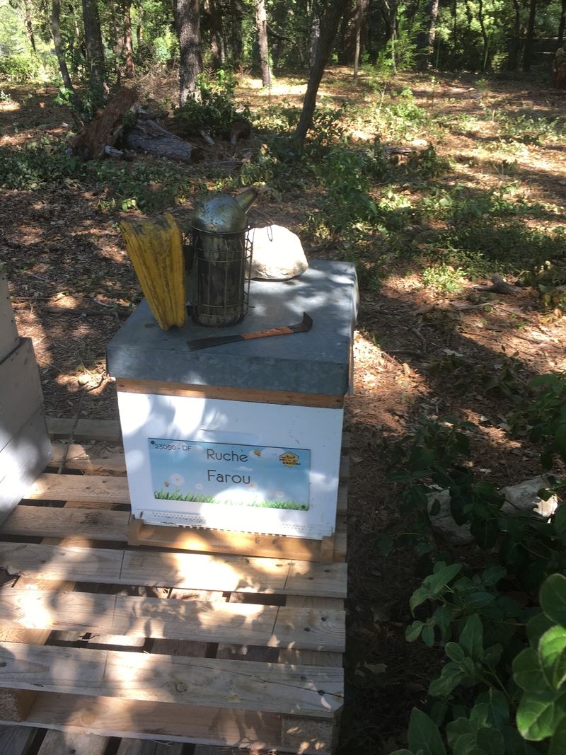 La ruche Farou