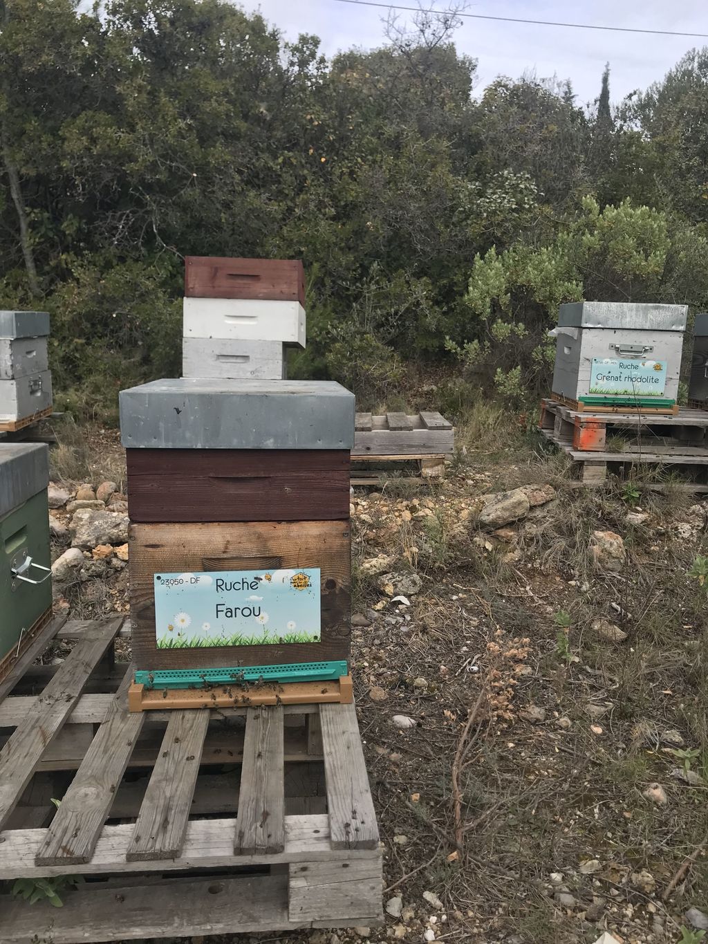 La ruche Farou