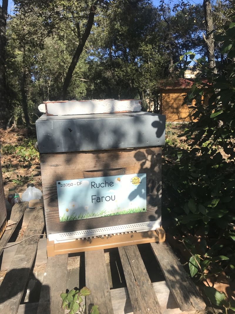 La ruche Farou