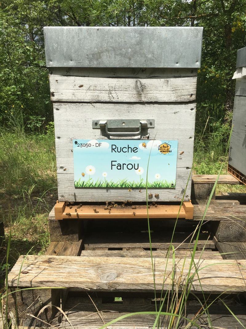 La ruche Farou