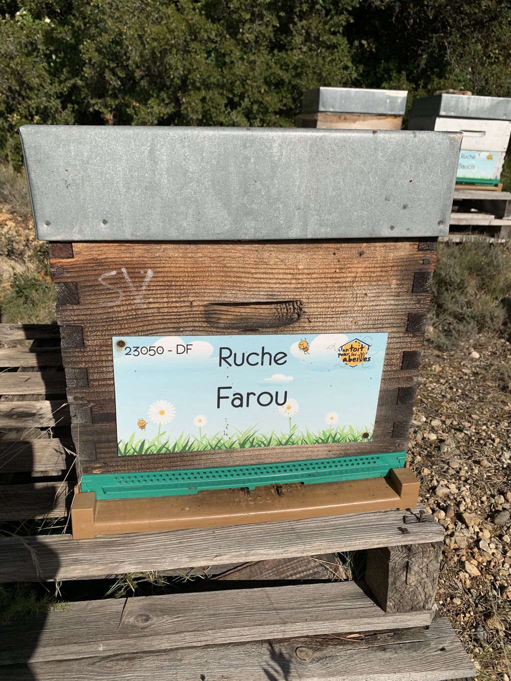 La ruche Farou