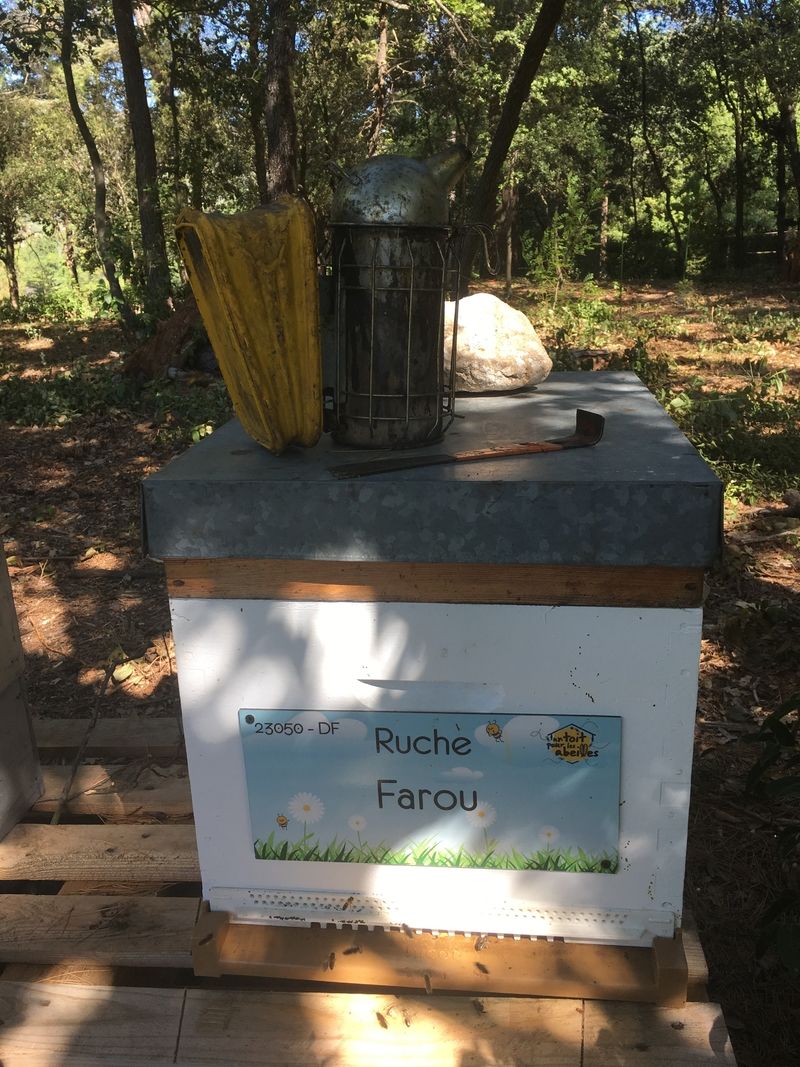 La ruche Farou