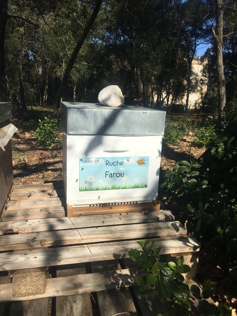 La ruche Farou