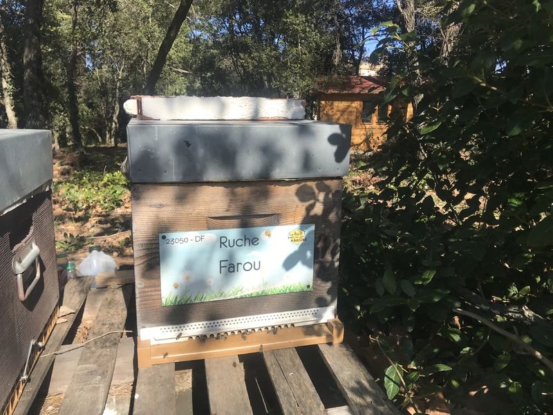La ruche Farou