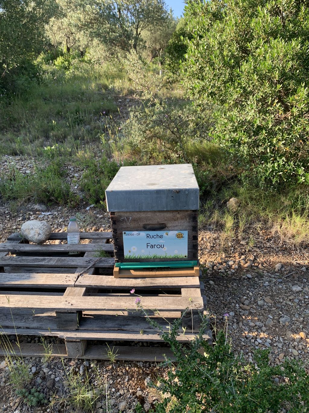 La ruche Farou