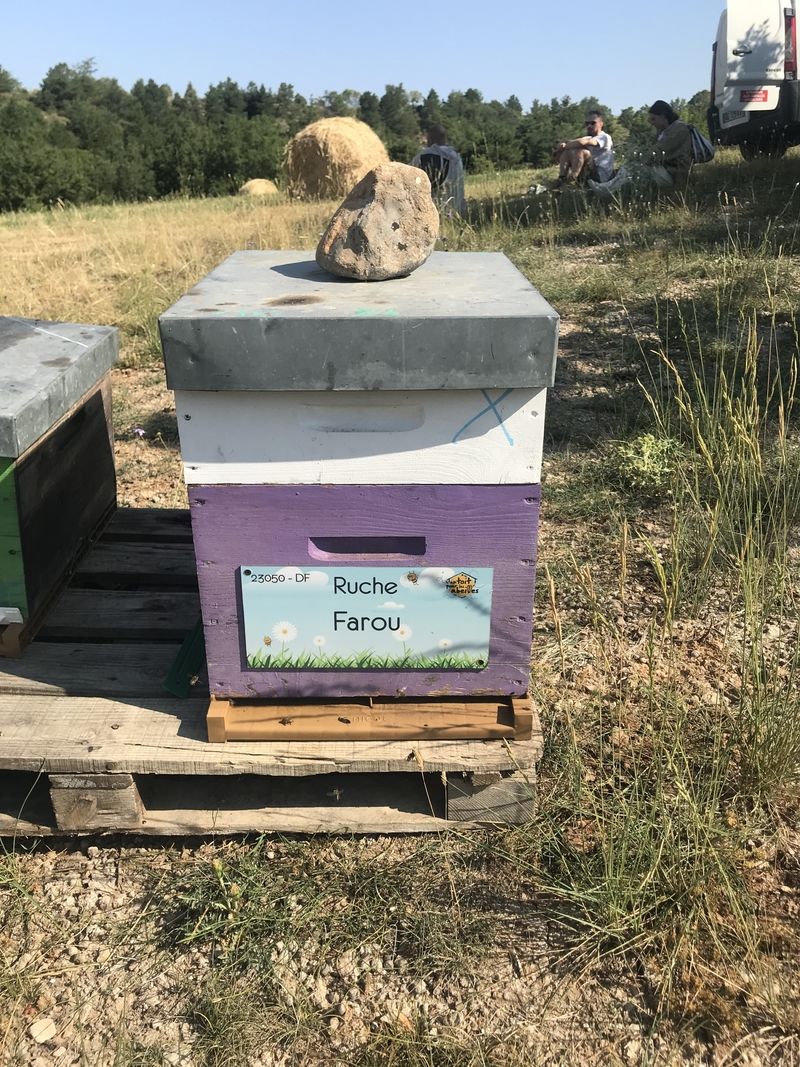 La ruche Farou