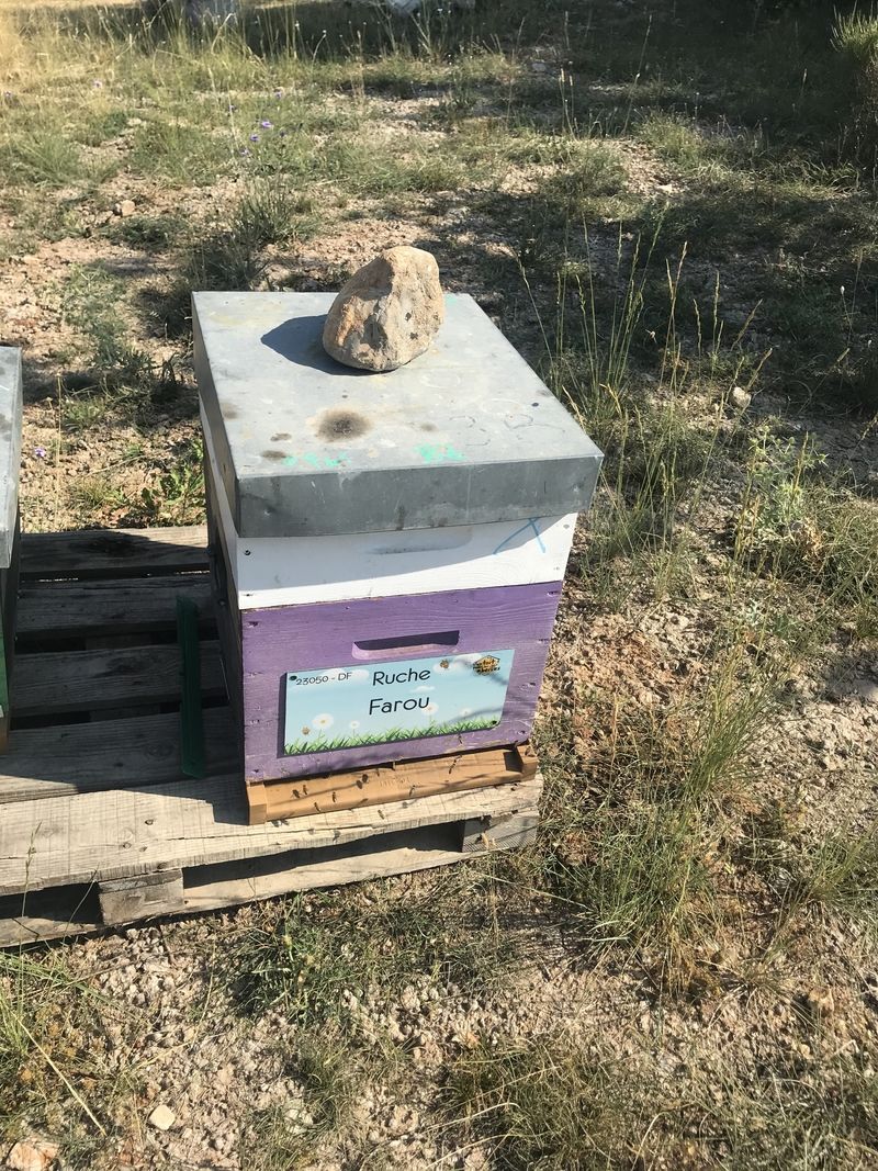 La ruche Farou