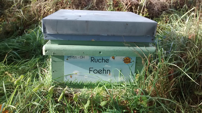 La ruche