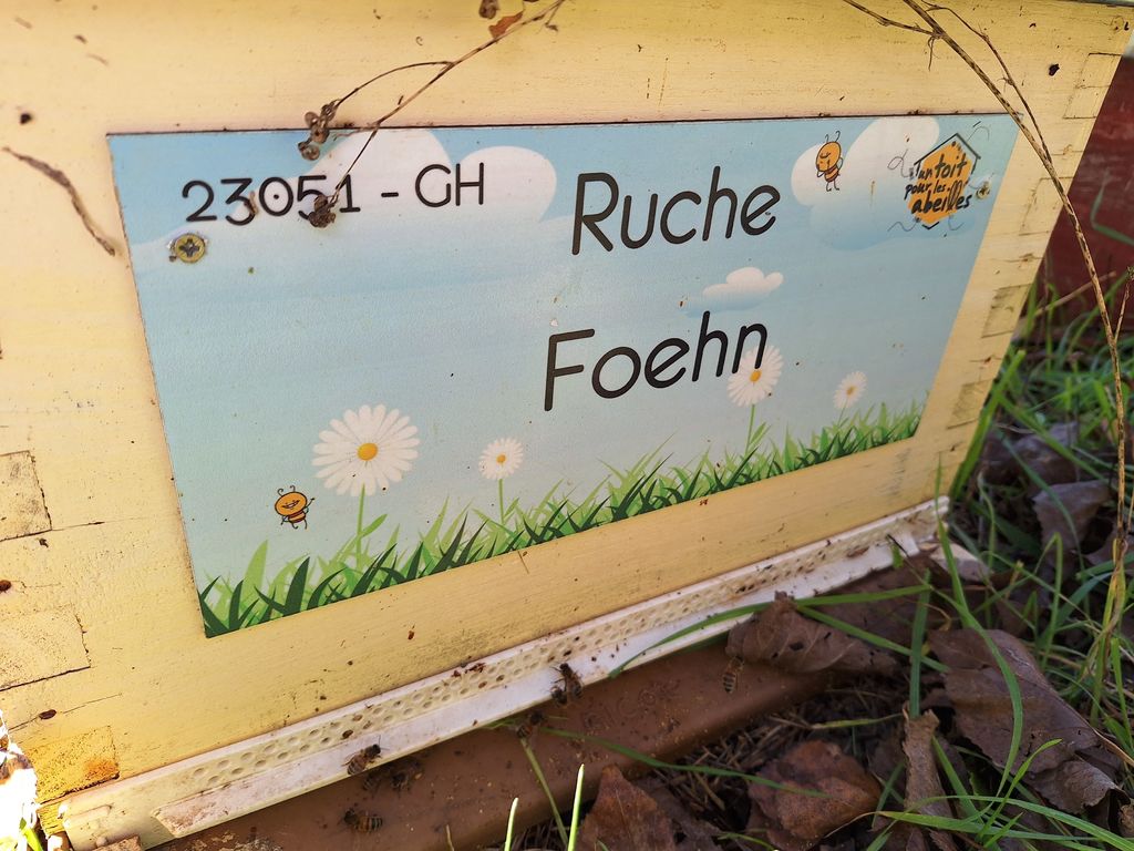 La ruche Foehn
