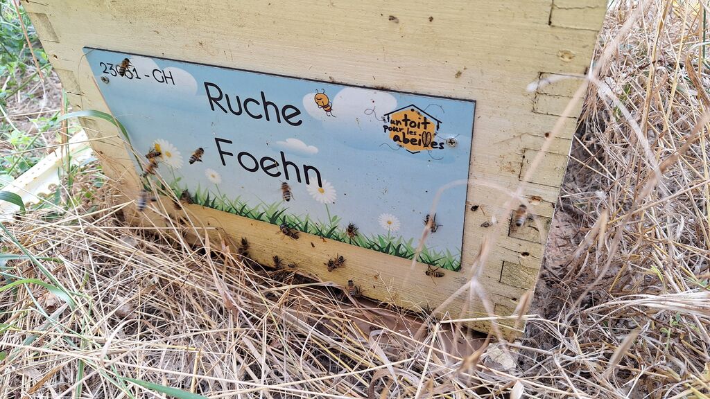 La ruche Foehn