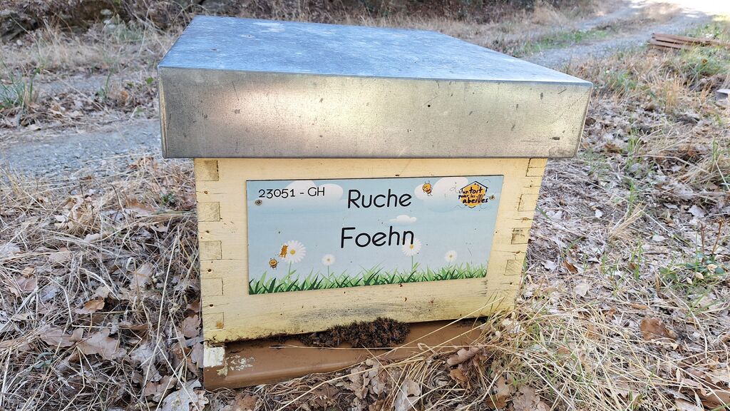 La ruche Foehn