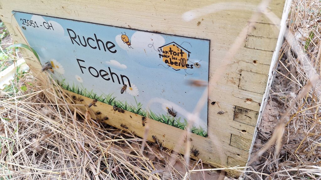 La ruche Foehn