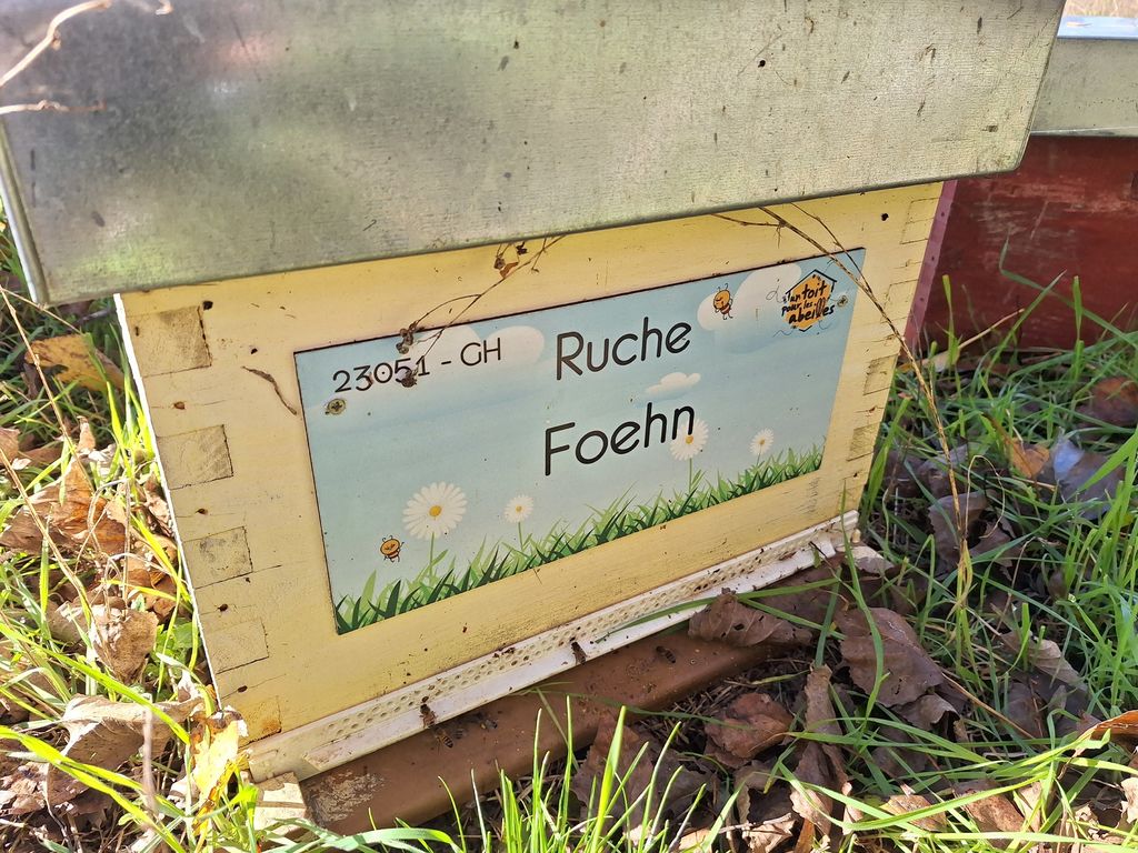 La ruche Foehn