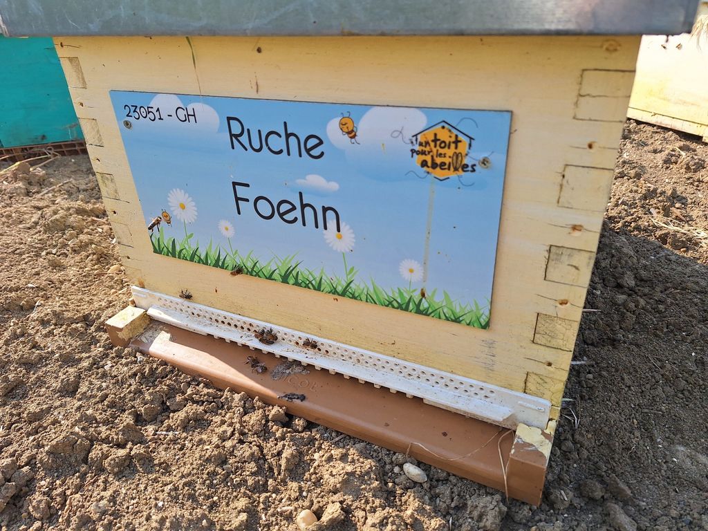 La ruche Foehn