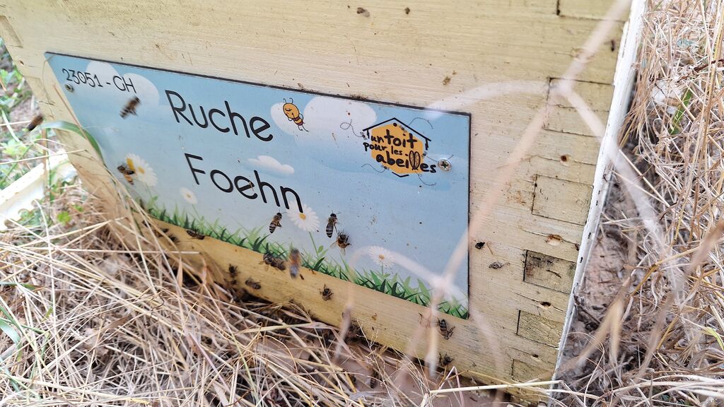 La ruche Foehn