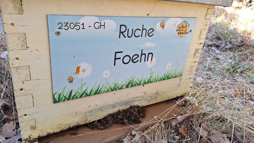 La ruche Foehn