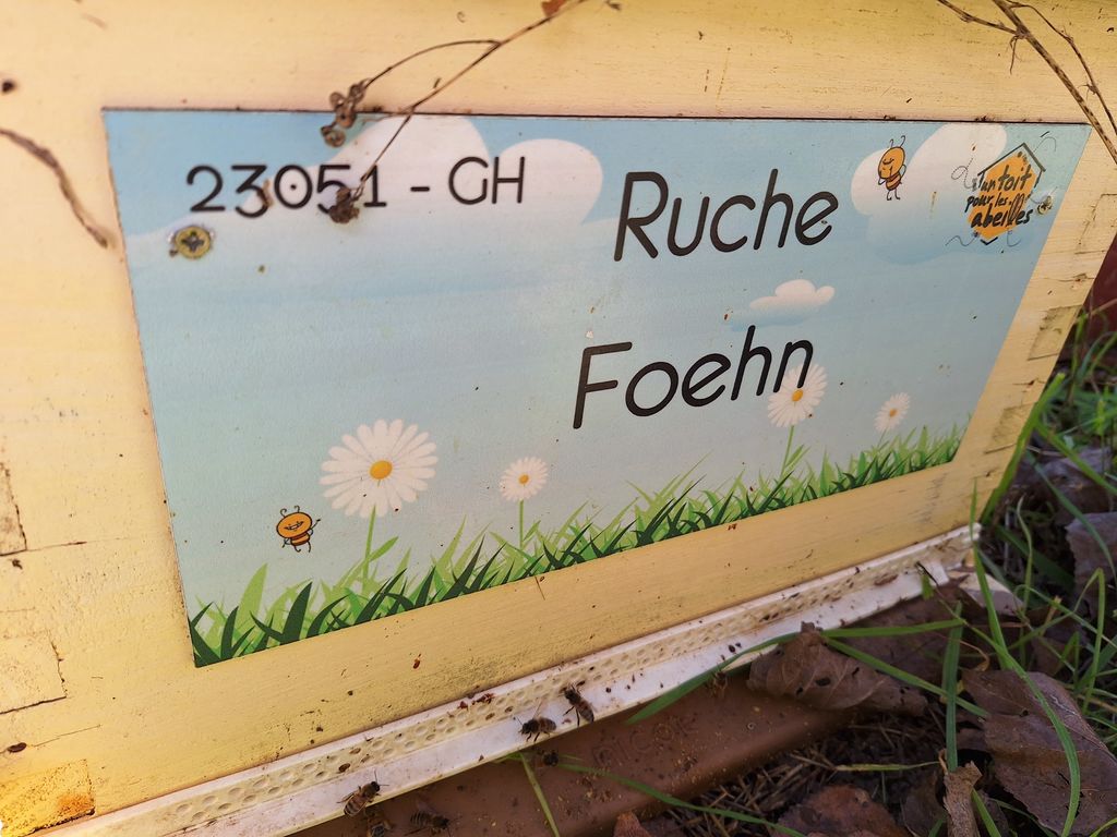 La ruche Foehn