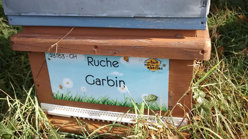 La ruche