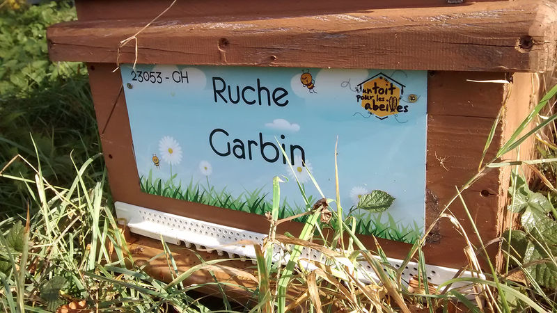 La ruche Garbin