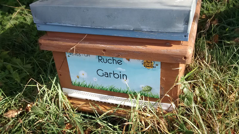 La ruche Garbin