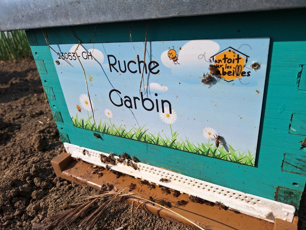 La ruche Garbin