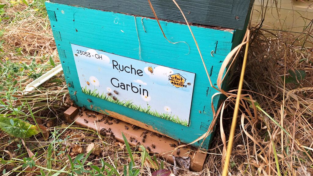 La ruche Garbin