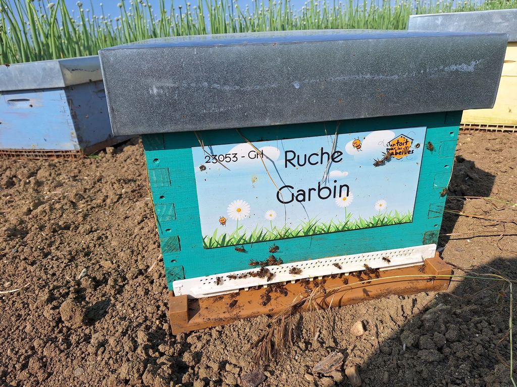 La ruche Garbin