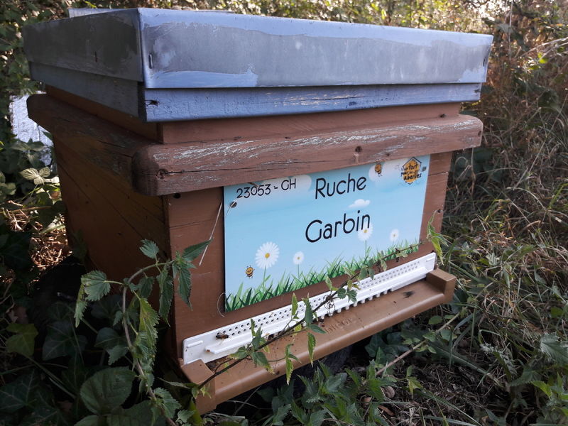 La ruche Garbin