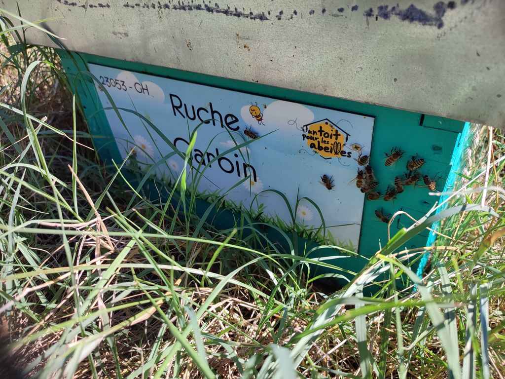 La ruche Garbin