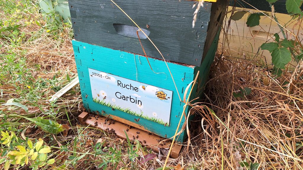 La ruche Garbin